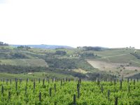Douro-Tal, Weingut Favaios &ndash; &copy; Barbara Mihut (Eberhardt TRAVEL)