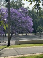 Lissabon (2) &ndash; &copy; Willi Thomas Krupp (Eberhardt TRAVEL)