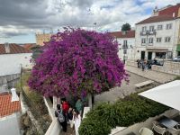 Lissabon (39) &ndash; &copy; Willi Thomas Krupp (Eberhardt TRAVEL)