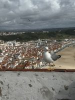 Nazare (5) &ndash; &copy; Willi Thomas Krupp (Eberhardt TRAVEL)