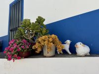 ...Wanderung Rocha da Pena (12) &ndash; &copy; Willi Thomas Krupp (Eberhardt TRAVEL)