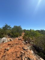 ...Wanderung Rocha da Pena (19) &ndash; &copy; Willi Thomas Krupp (Eberhardt TRAVEL)
