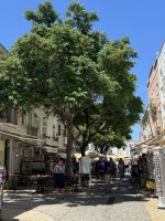 Lagos (5) &ndash; &copy; Willi Thomas Krupp (Eberhardt TRAVEL)