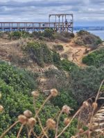 2024 Portugal-Ponta de Pietade (14).jpg &ndash; &copy; Steffi Lambrecht (Eberhardt TRAVEL)