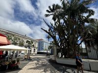 Ponta Delgada (7) &ndash; &copy; Willi Thomas Krupp (Eberhardt TRAVEL)