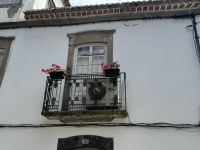 Ponta Delgada (6) &ndash; &copy; Willi Thomas Krupp (Eberhardt TRAVEL)