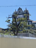 Horta (6) &ndash; &copy; Willi Thomas Krupp (Eberhardt TRAVEL)