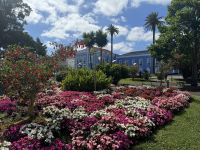 Ponta Delgada (21) &ndash; &copy; Willi Thomas Krupp (Eberhardt TRAVEL)