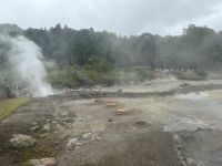 Campo Fumarolico das Caldeiras da Lagoa Furnas (6) &ndash; &copy; Willi Thomas Krupp (Eberhardt TRAVEL)