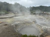 Campo Fumarolico das Caldeiras da Lagoa Furnas (5) &ndash; &copy; Willi Thomas Krupp (Eberhardt TRAVEL)
