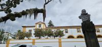 Angra, Jesuitenkolleque - heute Sitz der Azorenregierung und vorn Tillandsien &ndash; &copy; Ria Heilmann (Eberhardt TRAVEL)