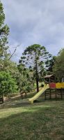 Araukatien auf dem Monte Brazil &ndash; &copy; Ria Heilmann (Eberhardt TRAVEL)