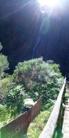 Tag 2 Sonnenstrahlenreflexion am Risco-Wasserfall &ndash; &copy; Robert Kramer (Eberhardt TRAVEL)