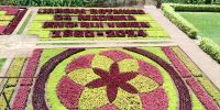 Tag 3 Blumenkunst im Botanischen Garten Funchal &ndash; &copy; Robert Kramer (Eberhardt TRAVEL)