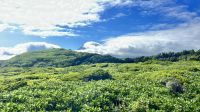 Ilha do Pico, Madalena, Azores, Portugal &ndash; &copy; Manuel Gonzalez Urrutia (Eberhardt TRAVEL)