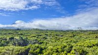 Ilha do Pico, Madalena, Azores, Portugal &ndash; &copy; Manuel Gonzalez Urrutia (Eberhardt TRAVEL)