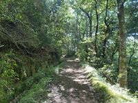 5. Tag - Madeira aktiv erleben - E-Bike Tour (4) &ndash; &copy; Franziska Barthel (Eberhardt TRAVEL)
