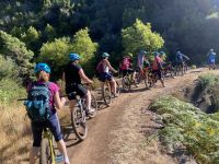 5. Tag - Madeira aktiv erleben - E-Bike Tour (1) &ndash; &copy; Franziska Barthel (Eberhardt TRAVEL)