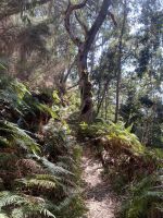 5. Tag - Madeira aktiv erleben - E-Bike Tour (2) &ndash; &copy; Franziska Barthel (Eberhardt TRAVEL)