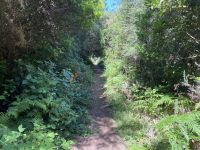 5. Tag - Madeira aktiv erleben - E-Bike Tour (3) &ndash; &copy; Franziska Barthel (Eberhardt TRAVEL)