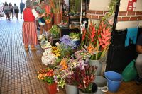 2. Tag - Madeira aktiv erleben - Funchal - Markthalle (3) &ndash; &copy; Franziska Barthel (Eberhardt TRAVEL)