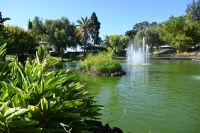 2. Tag - Madeira aktiv erleben - Funchal - Parque de Santa Catarina (2) &ndash; &copy; Franziska Barthel (Eberhardt TRAVEL)