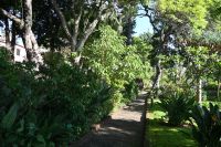 2. Tag - Madeira aktiv erleben - Funchal - Quinta Vigia (1) &ndash; &copy; Franziska Barthel (Eberhardt TRAVEL)