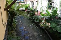 2. Tag - Madeira aktiv erleben - Funchal - Zona Velha (6) &ndash; &copy; Franziska Barthel (Eberhardt TRAVEL)