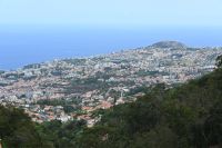 2. Tag - Madeira aktiv erleben - Funchal (36) &ndash; &copy; Franziska Barthel (Eberhardt TRAVEL)