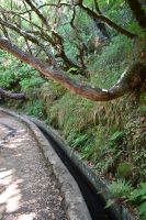 4. Tag - Madeira aktiv erleben - Wanderung im Tal von Rabacal (8) &ndash; &copy; Franziska Barthel (Eberhardt TRAVEL)