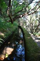 4. Tag - Madeira aktiv erleben - Wanderung im Tal von Rabacal (11) &ndash; &copy; Franziska Barthel (Eberhardt TRAVEL)