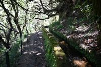 4. Tag - Madeira aktiv erleben - Wanderung im Tal von Rabacal (12) &ndash; &copy; Franziska Barthel (Eberhardt TRAVEL)