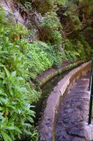4. Tag - Madeira aktiv erleben - Wanderung im Tal von Rabacal (13) &ndash; &copy; Franziska Barthel (Eberhardt TRAVEL)