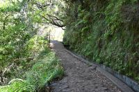 4. Tag - Madeira aktiv erleben - Wanderung im Tal von Rabacal (16) &ndash; &copy; Franziska Barthel (Eberhardt TRAVEL)