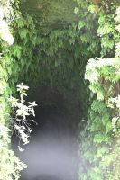 4. Tag - Madeira aktiv erleben - Wanderung im Tal von Rabacal (18) &ndash; &copy; Franziska Barthel (Eberhardt TRAVEL)