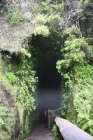 4. Tag - Madeira aktiv erleben - Wanderung im Tal von Rabacal (19) &ndash; &copy; Franziska Barthel (Eberhardt TRAVEL)