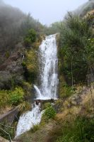 4. Tag - Madeira aktiv erleben - Wanderung im Tal von Rabacal (20) &ndash; &copy; Franziska Barthel (Eberhardt TRAVEL)