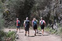 4. Tag - Madeira aktiv erleben - Wanderung im Tal von Rabacal (21) &ndash; &copy; Franziska Barthel (Eberhardt TRAVEL)
