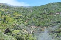 4. Tag - Madeira aktiv erleben - Wanderung im Tal von Rabacal (22) &ndash; &copy; Franziska Barthel (Eberhardt TRAVEL)