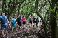 7. Tag - Madeira aktiv erleben - Wanderung Vereda das Funduras (6) &ndash; &copy; Franziska Barthel (Eberhardt TRAVEL)