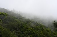 7. Tag - Madeira aktiv erleben - Wanderung Vereda das Funduras (7) &ndash; &copy; Franziska Barthel (Eberhardt TRAVEL)