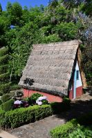 9. Tag - Madeira aktiv erleben - Funchal botanischer Garten (6)