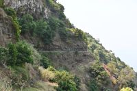 10. Tag - Madeira aktiv erleben - Wanderung Levada do Moinho und Levada Nova (13)