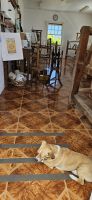 Sao Jorge, Faja dos Vimes, Weberei der Familie Nunes &ndash; &copy; Ria Heilmann (Eberhardt TRAVEL)