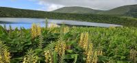 Flores, Caldeira Funda &ndash; &copy; Ria Heilmann (Eberhardt TRAVEL)