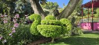 Terceira, Angra, Park &ndash; &copy; Ria Heilmann (Eberhardt TRAVEL)