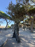 Lissabon (14) &ndash; &copy; Willi Thomas Krupp (Eberhardt TRAVEL)