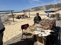 Nazare (6) &ndash; &copy; Willi Thomas Krupp (Eberhardt TRAVEL)