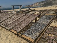 Nazare (7) &ndash; &copy; Willi Thomas Krupp (Eberhardt TRAVEL)