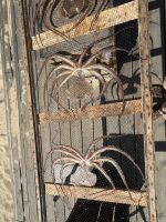 Nazare (9) &ndash; &copy; Willi Thomas Krupp (Eberhardt TRAVEL)
